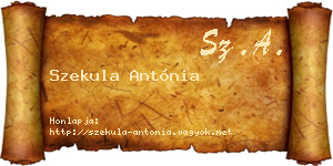 Szekula Antónia névjegykártya
